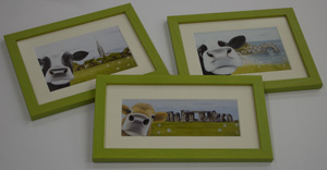 Selfie Moo - Set of three cards in brigh green frames