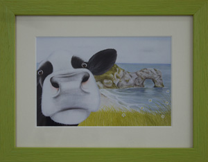 Selfie Moo at Durdle Door 